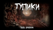 Тупики - Паша Шишкин Аудиокниги слушать 🎶 Лучшие аудиокниги бесплатно без регистрации и sms (смс)