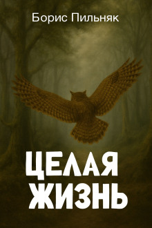 Целая жизнь - Борис Пильняк Аудиокниги слушать 🎶 Лучшие аудиокниги бесплатно без регистрации и sms (смс)
