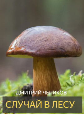 Случай в лесу - Дмитрий Чепиков Аудиокниги слушать 🎶 Лучшие аудиокниги бесплатно без регистрации и sms (смс)