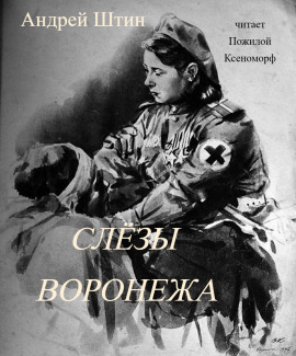 Слёзы Воронежа - Автор неизвестен Аудиокниги слушать 🎶 Лучшие аудиокниги бесплатно без регистрации и sms (смс)