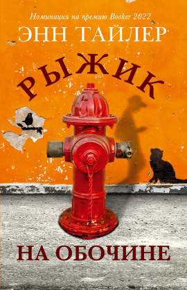 Рыжик на обочине - Энн Тайлер Аудиокниги слушать 🎶 Лучшие аудиокниги бесплатно без регистрации и sms (смс)