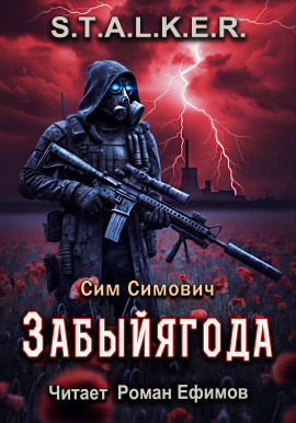 S.T.A.L.K.E.R. Забыйягода -                   Сим Симович Аудиокниги слушать 🎶 Лучшие аудиокниги бесплатно без регистрации и sms (смс)