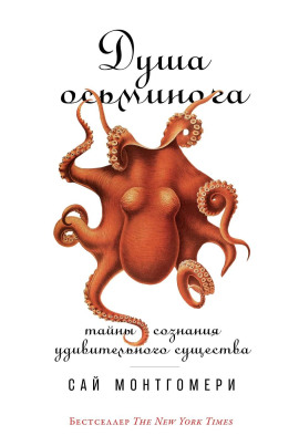 Душа осьминога: Тайны сознания удивительного существа -                   Сай Монтгомери Аудиокниги слушать 🎶 Лучшие аудиокниги бесплатно без регистрации и sms (смс)