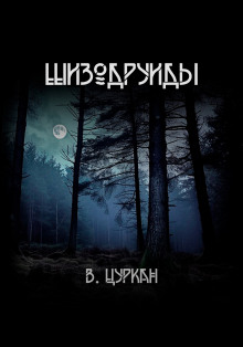 Шизодруиды - Валерий Цуркан Аудиокниги слушать 🎶 Лучшие аудиокниги бесплатно без регистрации и sms (смс)