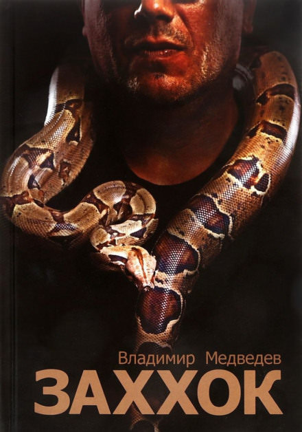 Заххок - Владимир Медведев Аудиокниги слушать 🎶 Лучшие аудиокниги бесплатно без регистрации и sms (смс)