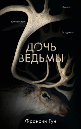 Дочь ведьмы -                   Тун Франсин Аудиокниги слушать 🎶 Лучшие аудиокниги бесплатно без регистрации и sms (смс)