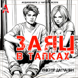 Заяц в тапках -                   Виктор Датчанин Аудиокниги слушать 🎶 Лучшие аудиокниги бесплатно без регистрации и sms (смс)