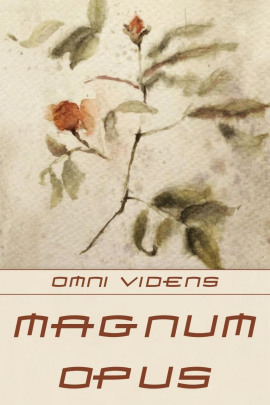 Magnum opus -                   Omni Videns Аудиокниги слушать 🎶 Лучшие аудиокниги бесплатно без регистрации и sms (смс)