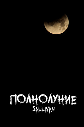 Полнолуние - Sallivan Аудиокниги слушать 🎶 Лучшие аудиокниги бесплатно без регистрации и sms (смс)