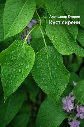 Куст сирени - Александр Куприн Аудиокниги слушать 🎶 Лучшие аудиокниги бесплатно без регистрации и sms (смс)