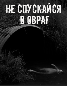 Не спускайся в овраг - Автор неизвестен Аудиокниги слушать 🎶 Лучшие аудиокниги бесплатно без регистрации и sms (смс)