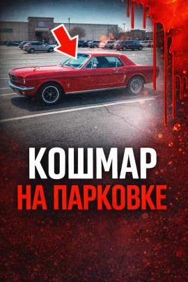 34 года поиска - Автор неизвестен Аудиокниги слушать 🎶 Лучшие аудиокниги бесплатно без регистрации и sms (смс)