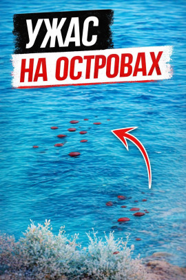 Смерть у скал - Автор неизвестен Аудиокниги слушать 🎶 Лучшие аудиокниги бесплатно без регистрации и sms (смс)